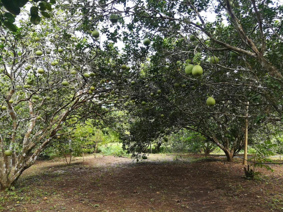 Вилла Star View Garden Сайок Экстерьер фото